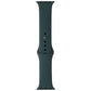 Apple (40mm) Sport Band for Apple Watch 38/40/41mm - Pine Green - Full Set Smart Watch Accessories - Watch Bands Apple - Simple Cell Bulk Wholesale Pricing - USA Seller