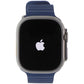 Apple Watch Ultra 2 (GPS + LTE) A2986 49mm Titanium/Blue Ocean Band Smart Watches Apple - Simple Cell Bulk Wholesale Pricing - USA Seller