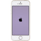 Apple iPhone SE (1st Gen) 4.7-in (A1662) Unlocked - 64GB / Gold Cell Phones & Smartphones Apple - Simple Cell Bulk Wholesale Pricing - USA Seller