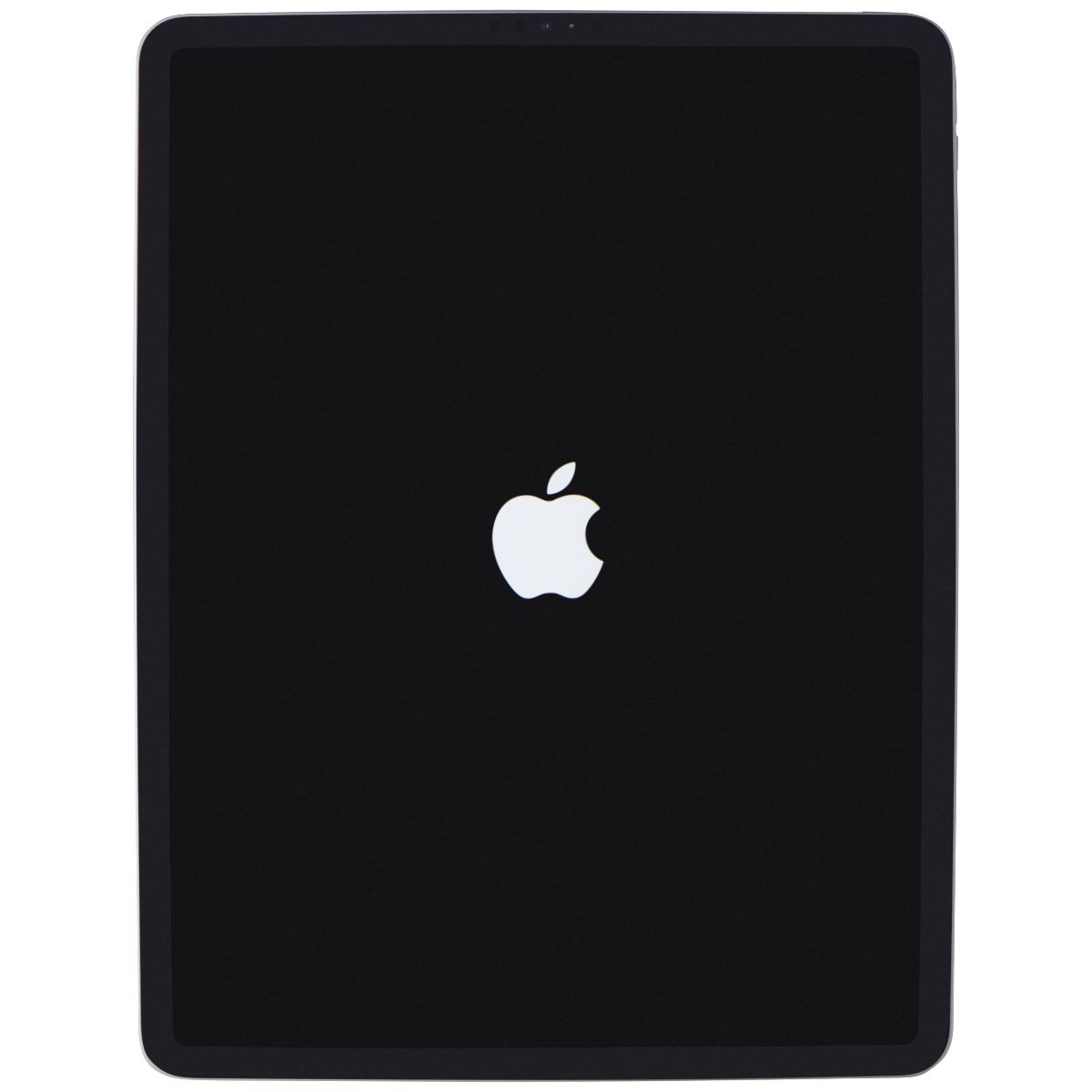 Apple iPad Pro 12.9 in. (4th Gen) (A2229) Wi-Fi Only - 256GB