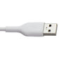 Belkin Dual USB-A Wall Charger (24W) + USB-A to USB-C Cable - White Cell Phone - Chargers & Cradles Belkin - Simple Cell Bulk Wholesale Pricing - USA Seller