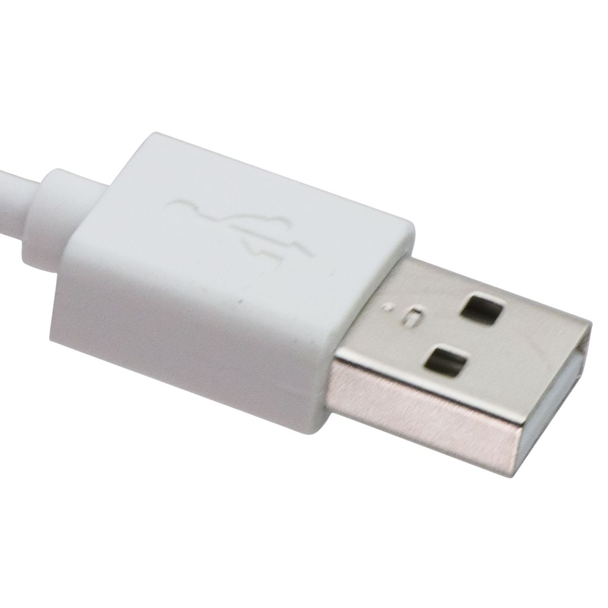 Naztech 6 Foot Lightning 8-pin to USB Cable + Dual USB Travel Charger Bundle