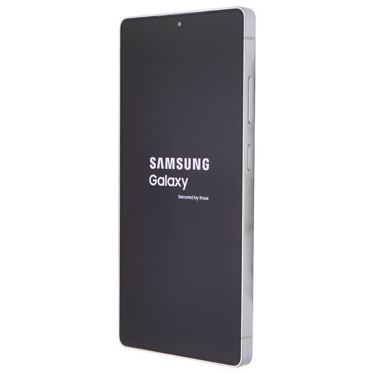 Samsung Galaxy S25 Ultra (6.9) Smartphone (SM-S938U) Verizon - 256GB/Silver Blue Cell Phones & Smartphones Samsung - Simple Cell Bulk Wholesale Pricing - USA Seller