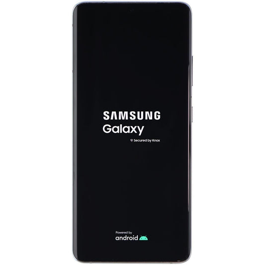 Samsung Galaxy S21 Ultra 5G (6.8-inch) SM-G998U (Verizon Only) - 128GB/Silver