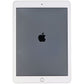 Apple iPad Pro (9.7-inch) 1st Gen Tablet (A1673) Wi-Fi Only - 256GB / Silver