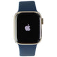 Apple Watch Series 7 (GPS + LTE) A2475 (41mm) - Stainless Gold/Blue Sp Band Smart Watches Apple - Simple Cell Bulk Wholesale Pricing - USA Seller