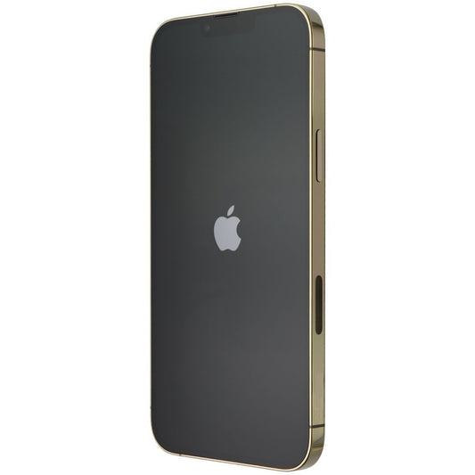 Apple iPhone 13 Pro Max (6.7-in) Smartphone (A2484) Unlocked - 1TB / Gold