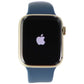 Apple Watch Series 7 (GPS + LTE) A2477 (45mm) Stainless Gold/Blue Sp Band Smart Watches Apple    - Simple Cell Bulk Wholesale Pricing - USA Seller