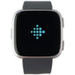 Fitbit Versa (1st Gen) Smart Watch - Silver Aluminum/Gray Band (FB505) Smart Watches Fitbit    - Simple Cell Bulk Wholesale Pricing - USA Seller
