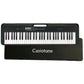 Casio Casiotone, 61-Key Portable Keyboard (CT-S190) w/ Carry Case - Black Other Sporting Goods Casio    - Simple Cell Bulk Wholesale Pricing - USA Seller