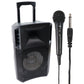 ION Power Glow 200 Rechargeable 200-Watt PA System with Lights Home Multimedia - Home Speakers & Subwoofers ION Audio    - Simple Cell Bulk Wholesale Pricing - USA Seller