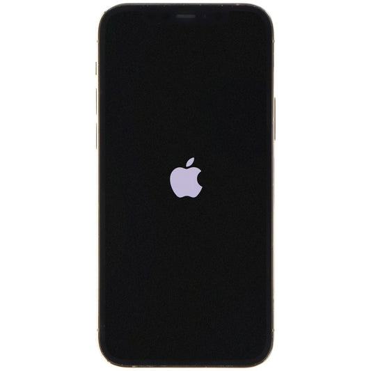 Apple iPhone 12 Pro (6.1-in) (A2341) Unlocked - 256GB / Gold - NON OEM CAMERA Cell Phones & Smartphones Apple    - Simple Cell Bulk Wholesale Pricing - USA Seller